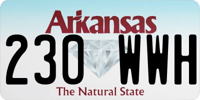 AR license plate 230WWH