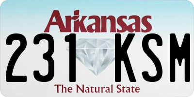 AR license plate 231KSM