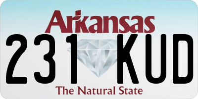 AR license plate 231KUD