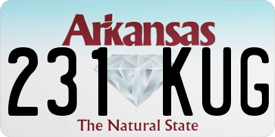AR license plate 231KUG