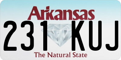 AR license plate 231KUJ