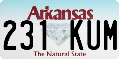 AR license plate 231KUM
