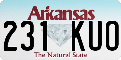 AR license plate 231KUO