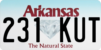 AR license plate 231KUT