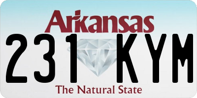 AR license plate 231KYM