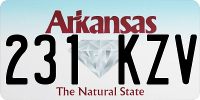 AR license plate 231KZV