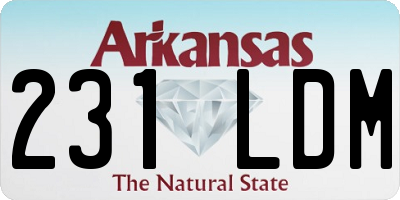 AR license plate 231LDM