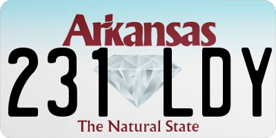 AR license plate 231LDY