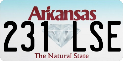 AR license plate 231LSE