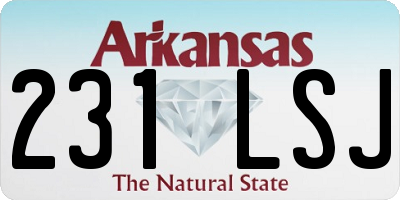 AR license plate 231LSJ