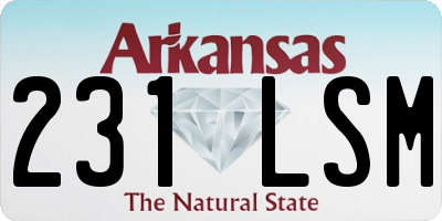 AR license plate 231LSM