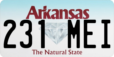 AR license plate 231MEI