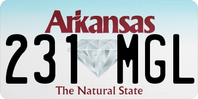 AR license plate 231MGL