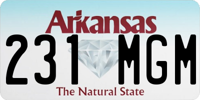 AR license plate 231MGM