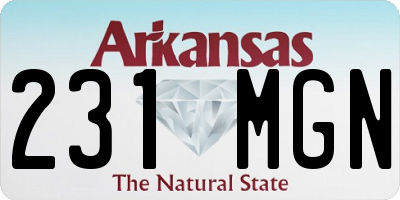 AR license plate 231MGN