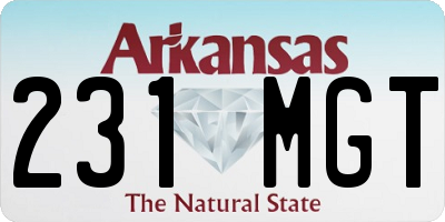 AR license plate 231MGT
