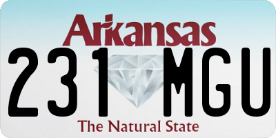 AR license plate 231MGU