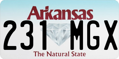 AR license plate 231MGX