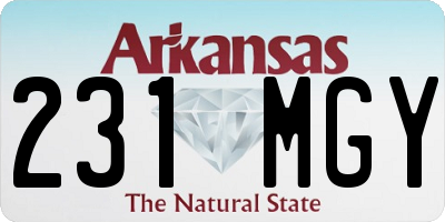 AR license plate 231MGY