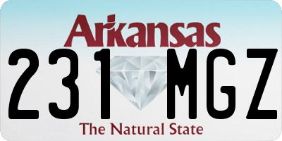 AR license plate 231MGZ