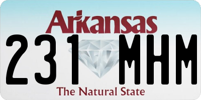 AR license plate 231MHM