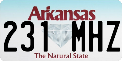 AR license plate 231MHZ