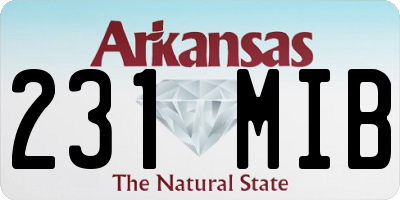AR license plate 231MIB
