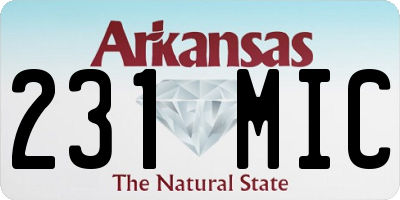 AR license plate 231MIC