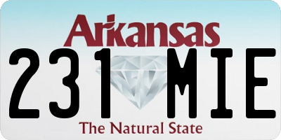 AR license plate 231MIE