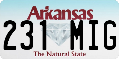 AR license plate 231MIG