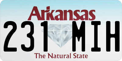 AR license plate 231MIH