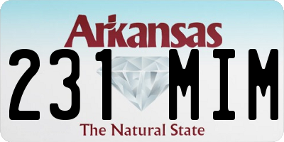 AR license plate 231MIM