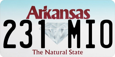 AR license plate 231MIO