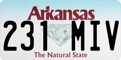 AR license plate 231MIV