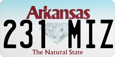 AR license plate 231MIZ