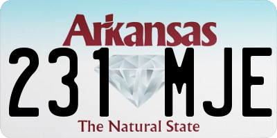 AR license plate 231MJE
