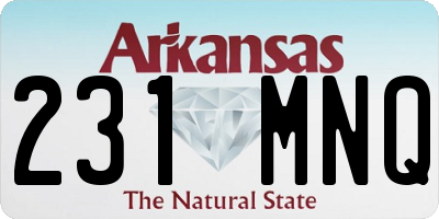 AR license plate 231MNQ