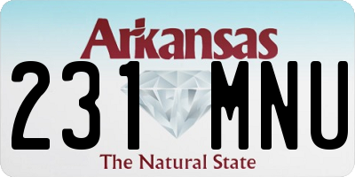 AR license plate 231MNU