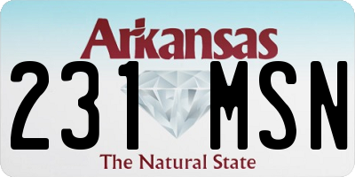 AR license plate 231MSN