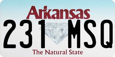 AR license plate 231MSQ