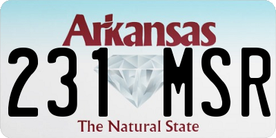 AR license plate 231MSR