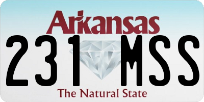 AR license plate 231MSS