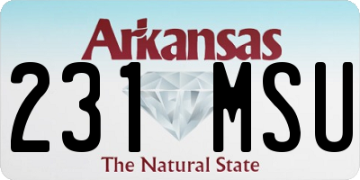 AR license plate 231MSU