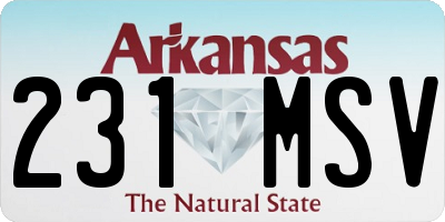 AR license plate 231MSV