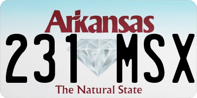 AR license plate 231MSX