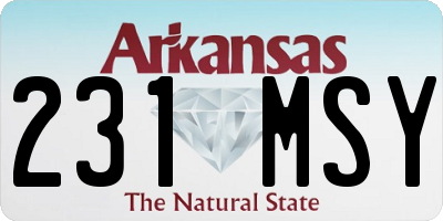AR license plate 231MSY