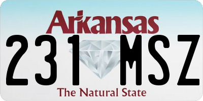 AR license plate 231MSZ