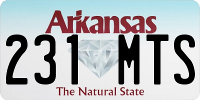 AR license plate 231MTS