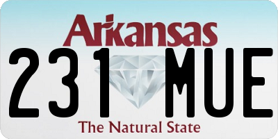 AR license plate 231MUE