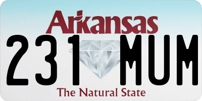 AR license plate 231MUM